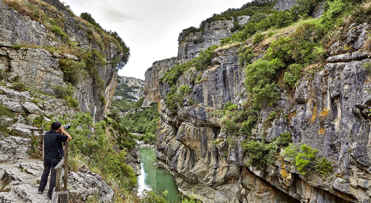 Lumbier Canyon